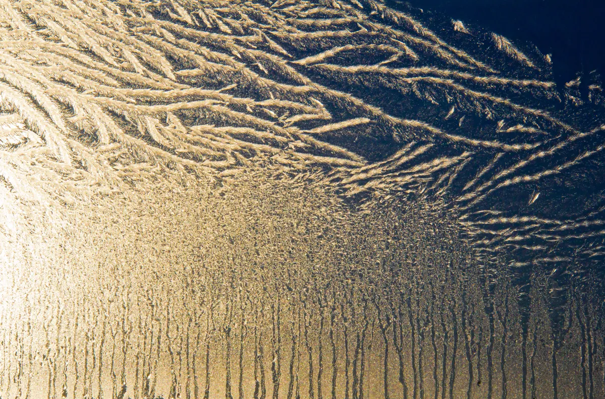 Frost patterns on a window pane